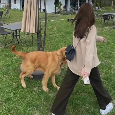 女人一部分